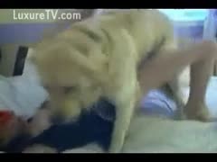 On livecam, a slender, white, white wife beats up her even whiter puppy.